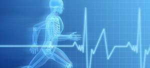 10562989_318756378284881_2114477756897705257_n