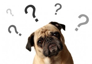 duvida-atração-surpresa